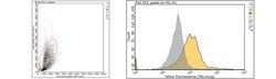 TSLP Receptor, Rat anti-Mouse, Clone: 22H9, Millipore Sigma:Antibodies:Primary